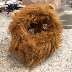 Dog Halloween Costume